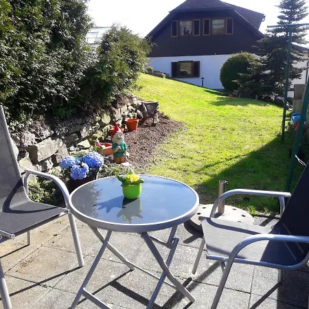 Daire Cosy In In The Black Forest With Private Terrace
