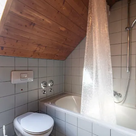 Daire Cosy In In The Black Forest With Private Terrace *