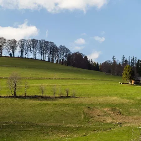 Daire Cosy In In The Black Forest With Private Terrace