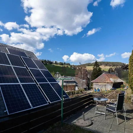 Cosy In In The Black Forest With Private Terrace Apartment Todtnauberg